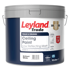Ceiling Paint