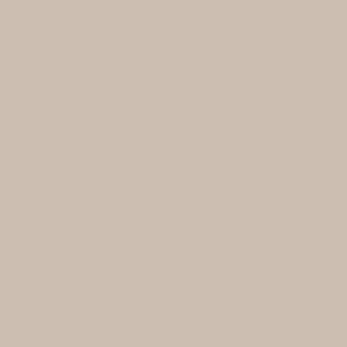 60 color tile 020 Basic Beige